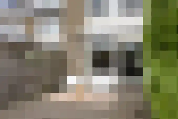 Zuiderweg 203 Groningen thumbnail 39