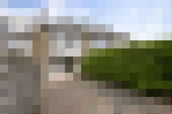 Zuiderweg 203 Groningen thumbnail 40
