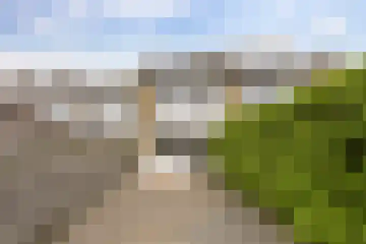 Zuiderweg 203 Groningen thumbnail 41