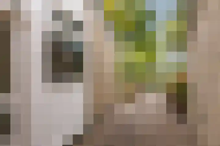 Zuiderweg 203 Groningen thumbnail 45