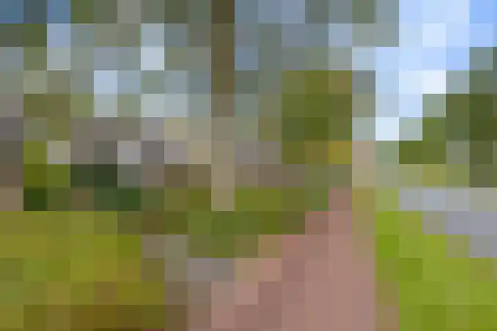 Zuiderweg 203 Groningen thumbnail 46