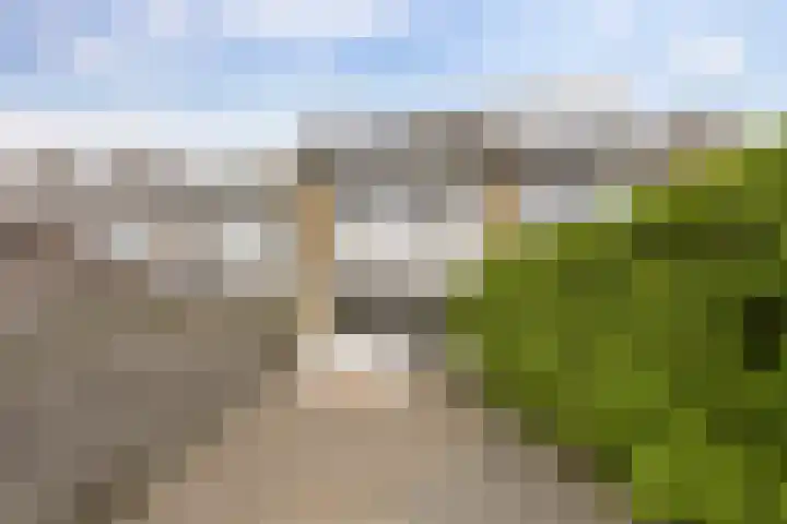 Zuiderweg 203 Groningen thumbnail 6