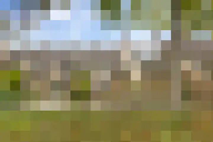 Zuiderweg 203 Groningen thumbnail 8