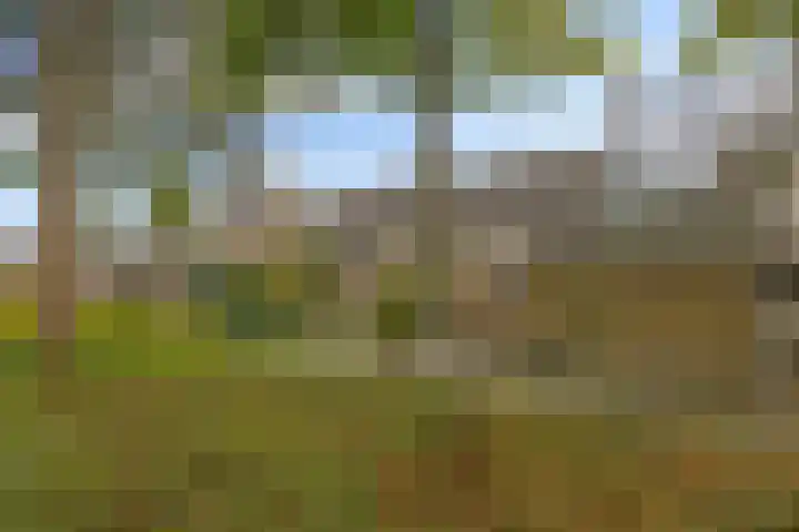 Zuiderweg 203 Groningen thumbnail 9