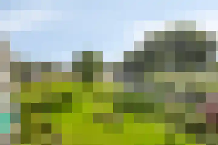 Zuiderweg 213 Zuidoostbeemster thumbnail 25