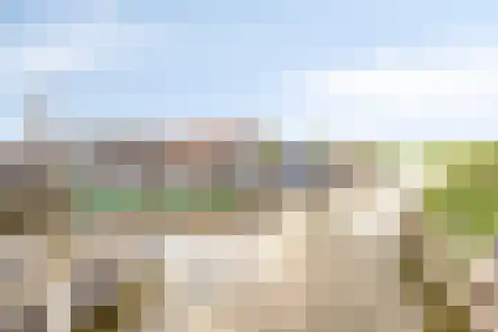 Zuiderweg 213 Zuidoostbeemster thumbnail 26