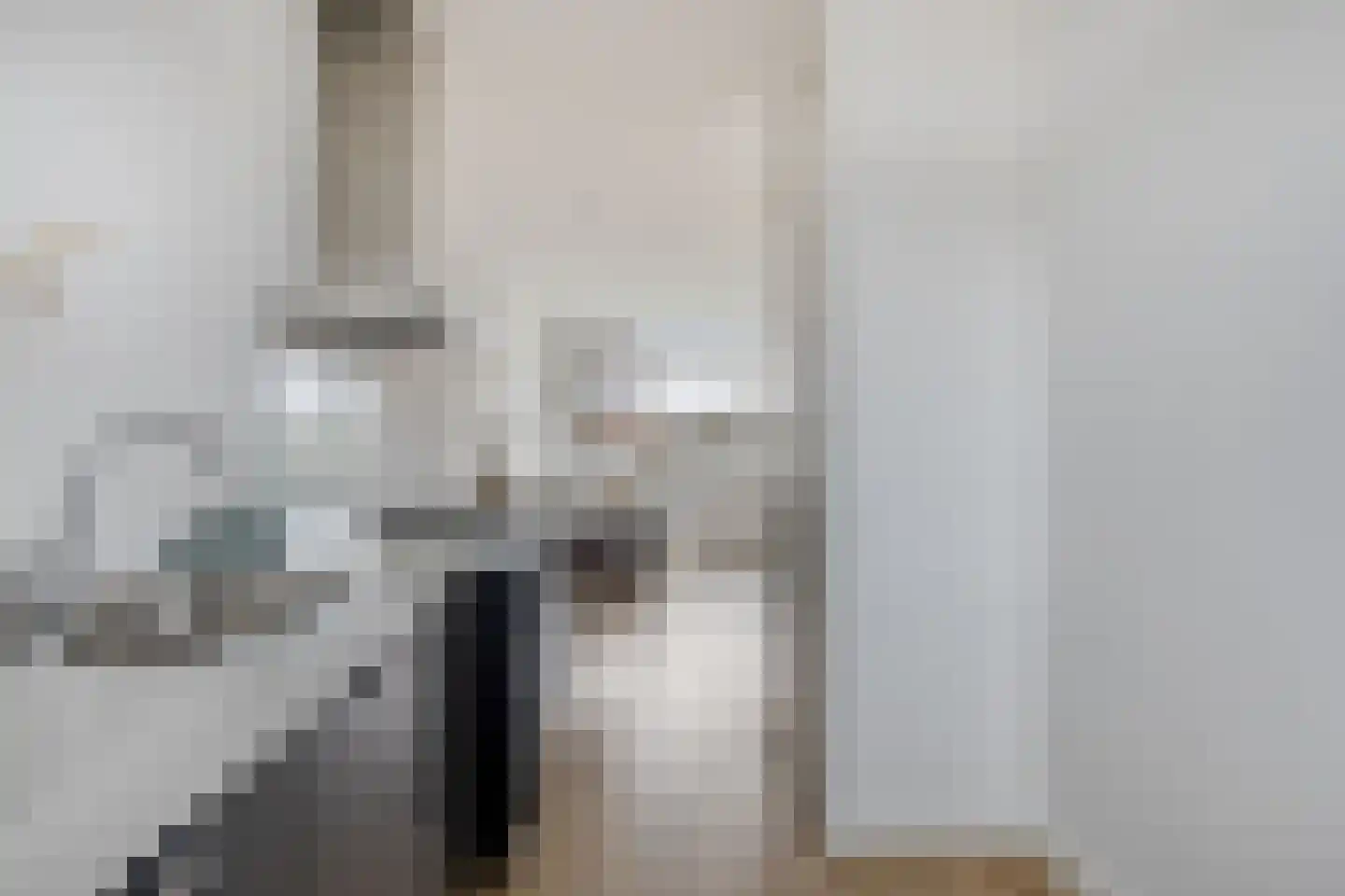Zuiderweg 214 Zuidoostbeemster thumbnail 13