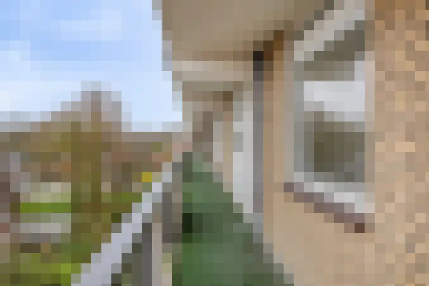 Zuiderweg 214 Zuidoostbeemster thumbnail 21