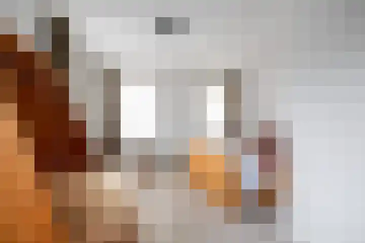 Zuiderweg 22 Slochteren thumbnail 37