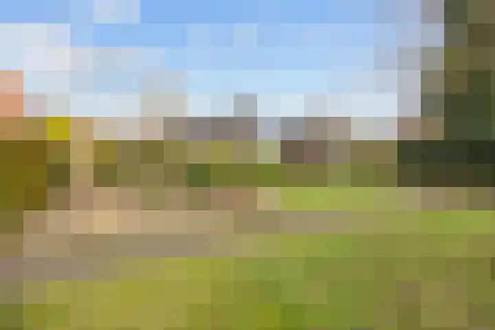 Zuiderweg 22 Slochteren thumbnail 43