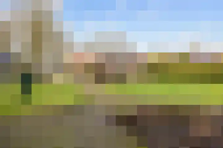 Zuiderweg 22 Slochteren thumbnail 45