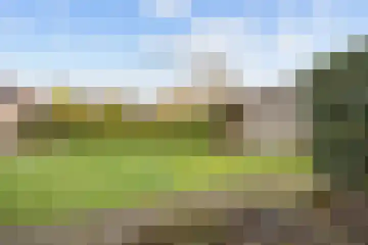 Zuiderweg 22 Slochteren thumbnail 46