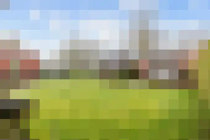 Zuiderweg 22 Slochteren thumbnail 47