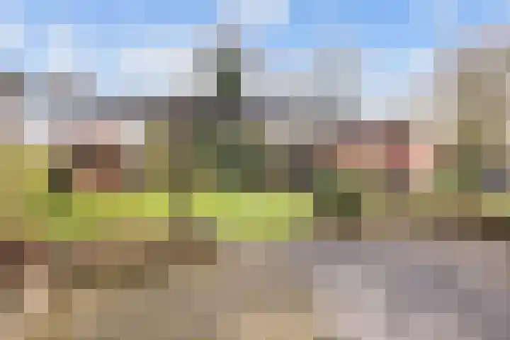 Zuiderweg 22 Slochteren thumbnail 48