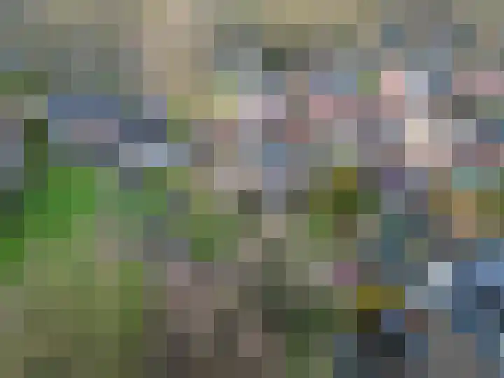 Zuiderweg 22 Slochteren thumbnail 56