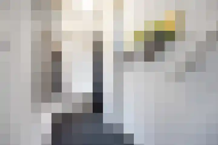 Zuiderweg 22 Slochteren thumbnail 8