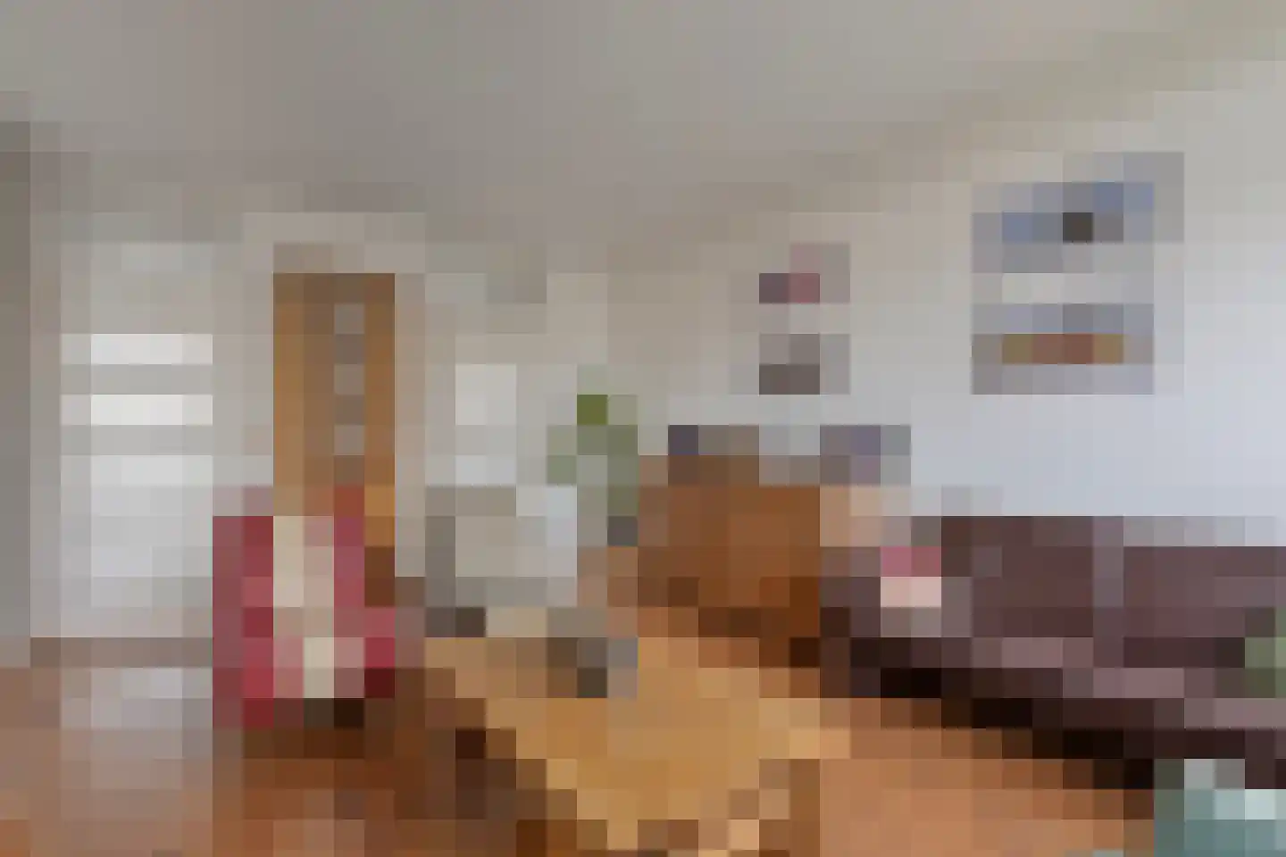 Zuiderweg 227 Zuidoostbeemster thumbnail 16