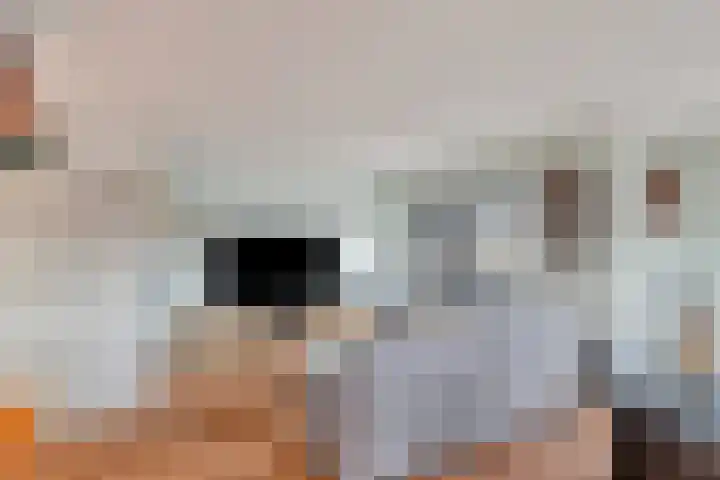 Zuiderweg 25 Groningen thumbnail 4