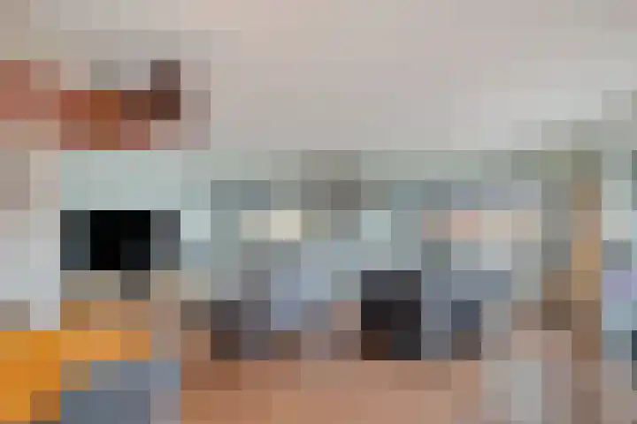 Zuiderweg 25 Groningen thumbnail 8