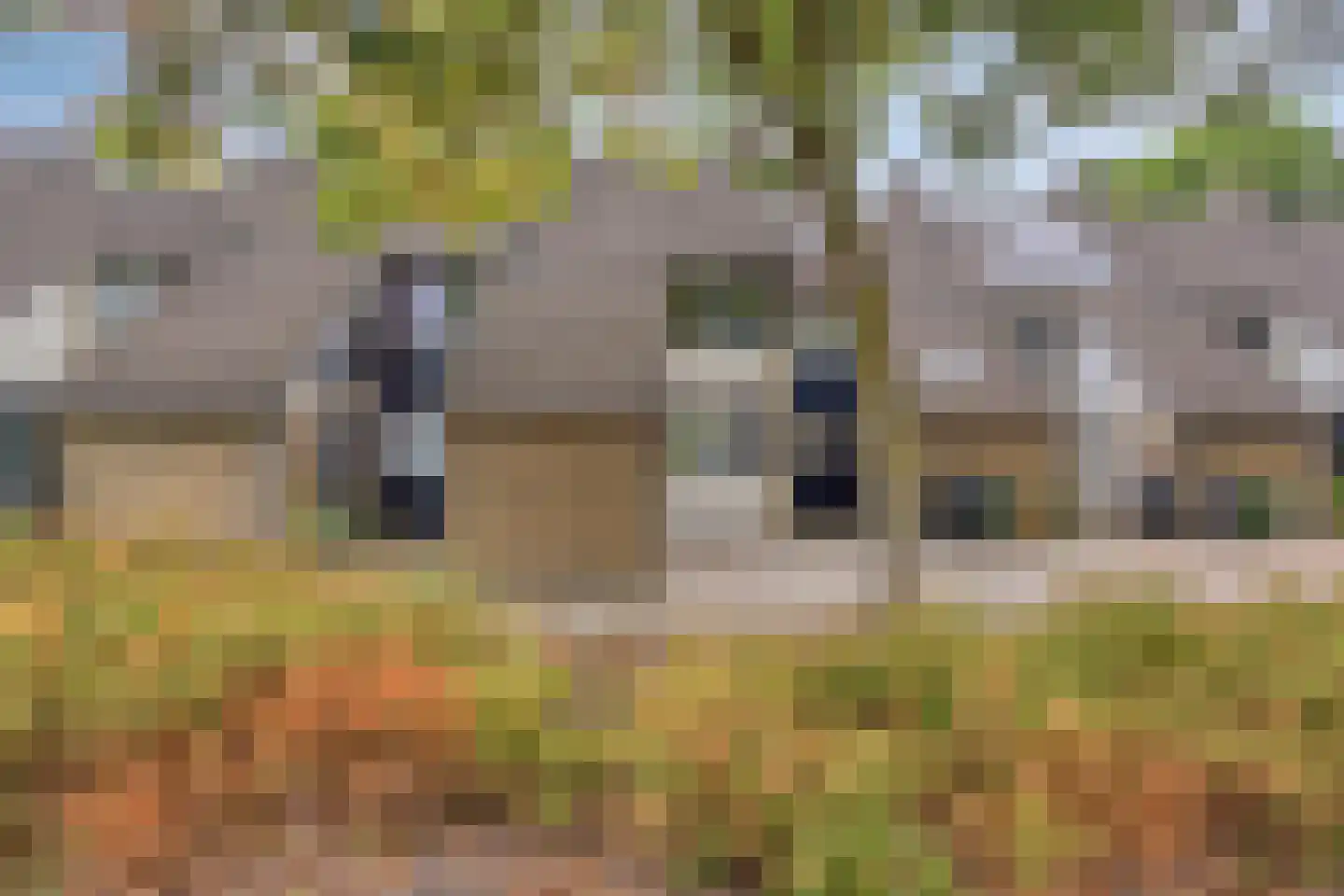 Zuiderweg 271 Groningen thumbnail 8