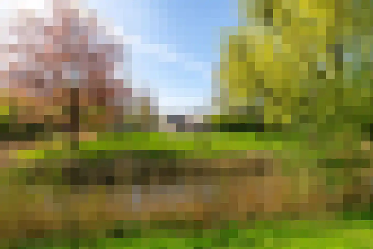 Zuiderweg 283 Groningen thumbnail 31