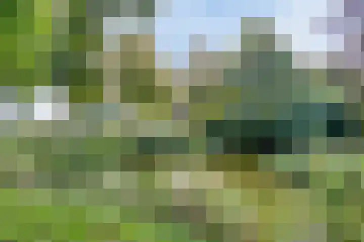 Zuiderweg 285 Groningen thumbnail 36