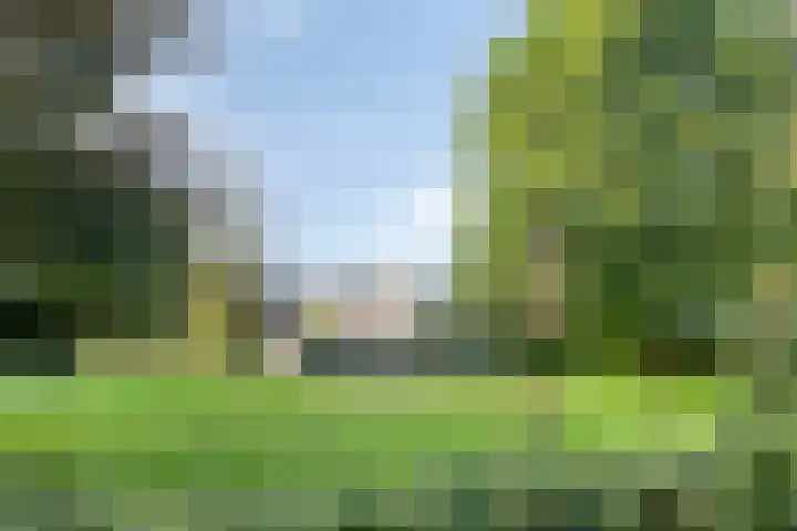 Zuiderweg 285 Groningen thumbnail 39