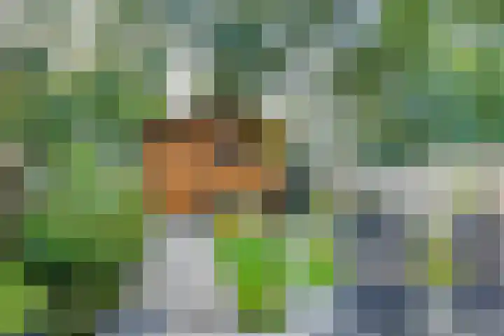 Zuiderweg 285 Groningen thumbnail 4