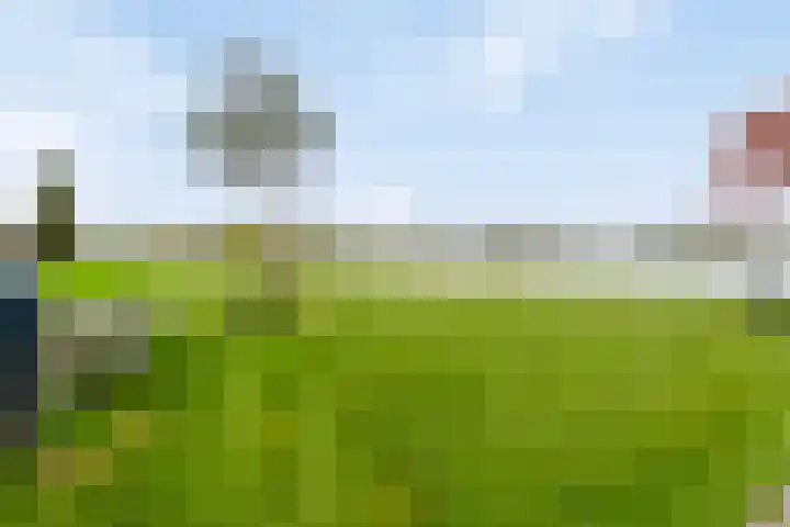 Zuiderweg 285 Groningen thumbnail 41