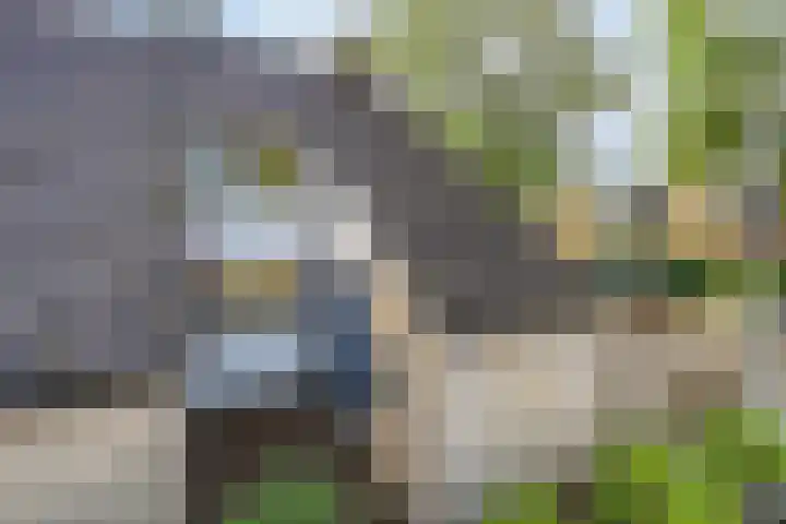 Zuiderweg 285 Groningen thumbnail 5