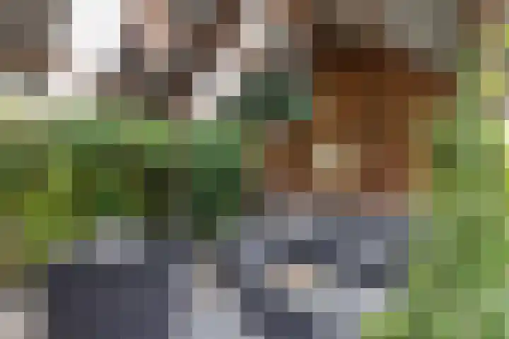 Zuiderweg 29 Noordwolde thumbnail 34
