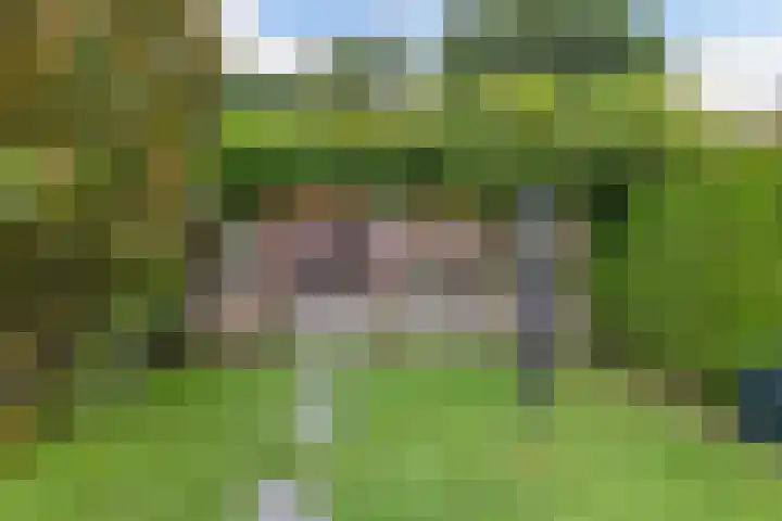 Zuiderweg 29 Noordwolde thumbnail 41