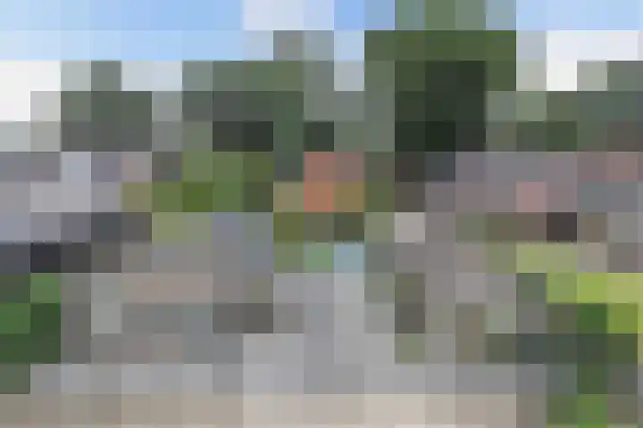 Zuiderweg 29 Noordwolde thumbnail 48