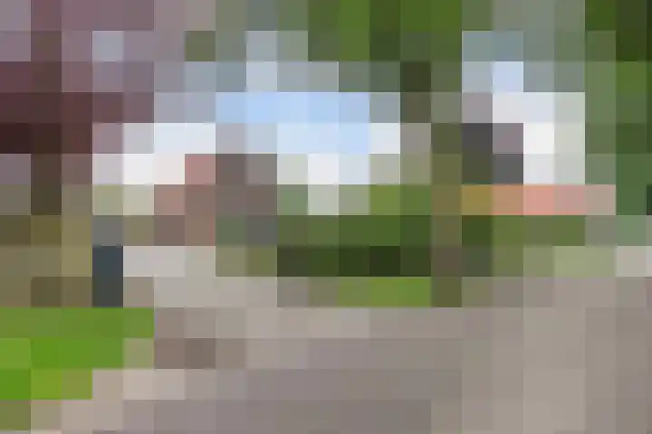 Zuiderweg 29 Noordwolde thumbnail 53
