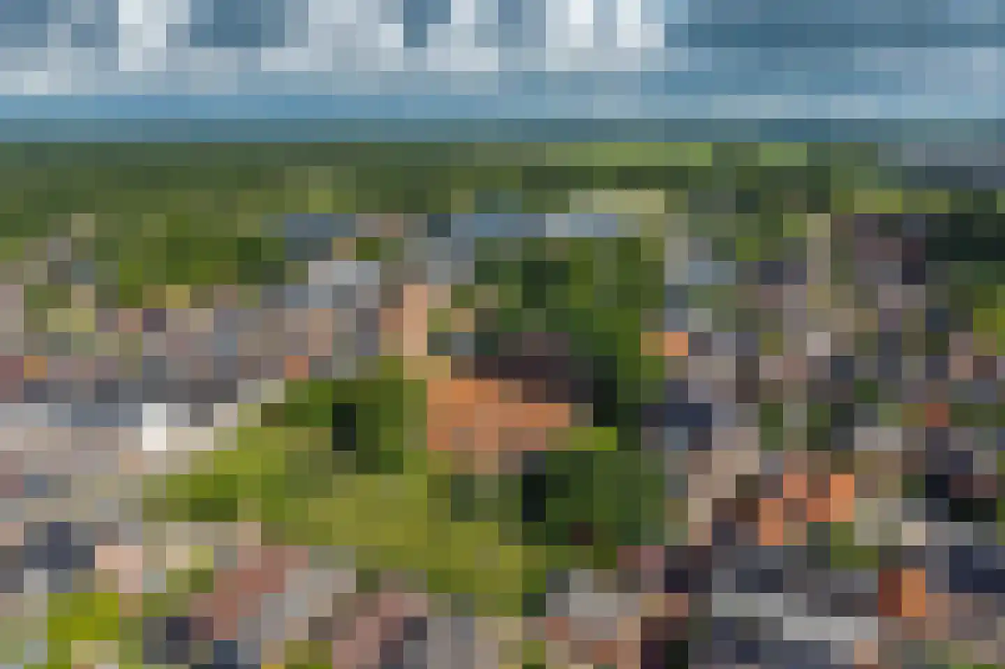 Zuiderweg 3 Tolbert thumbnail 10