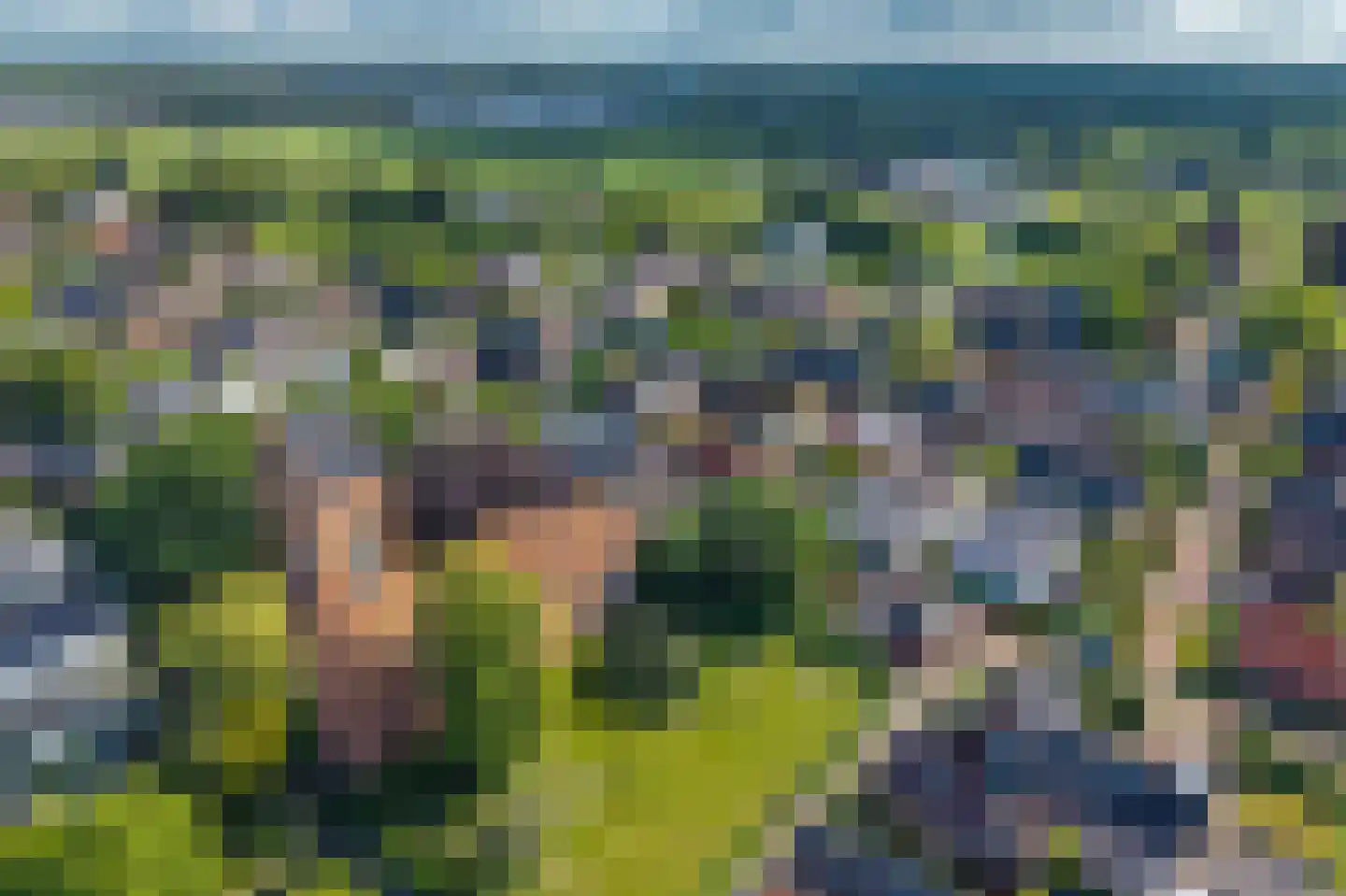 Zuiderweg 3 Tolbert thumbnail 11