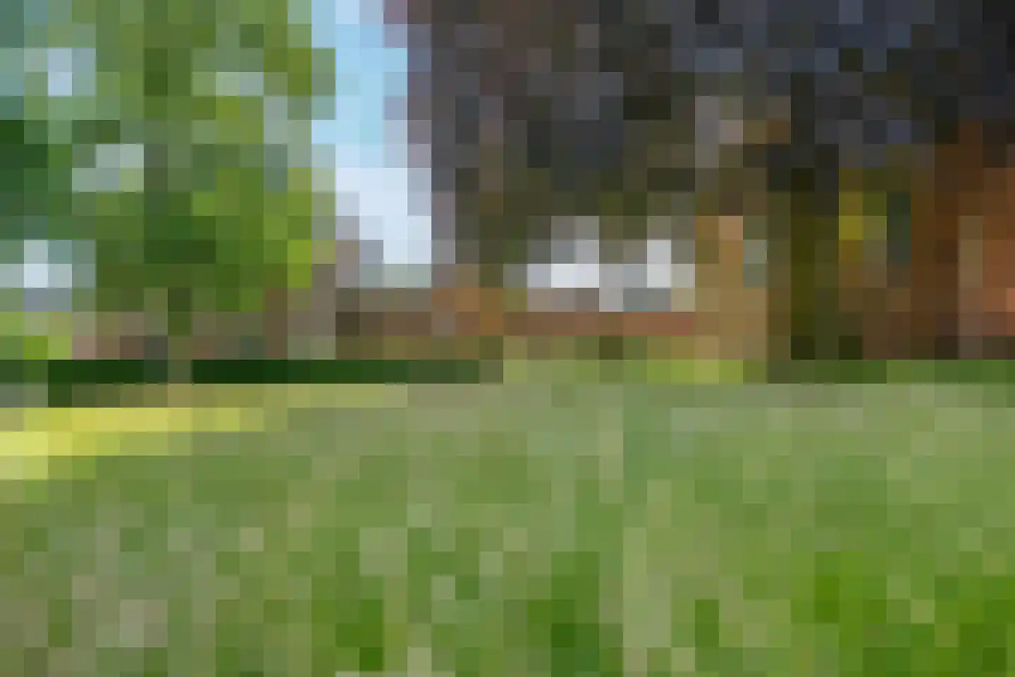 Zuiderweg 3 Tolbert thumbnail 13