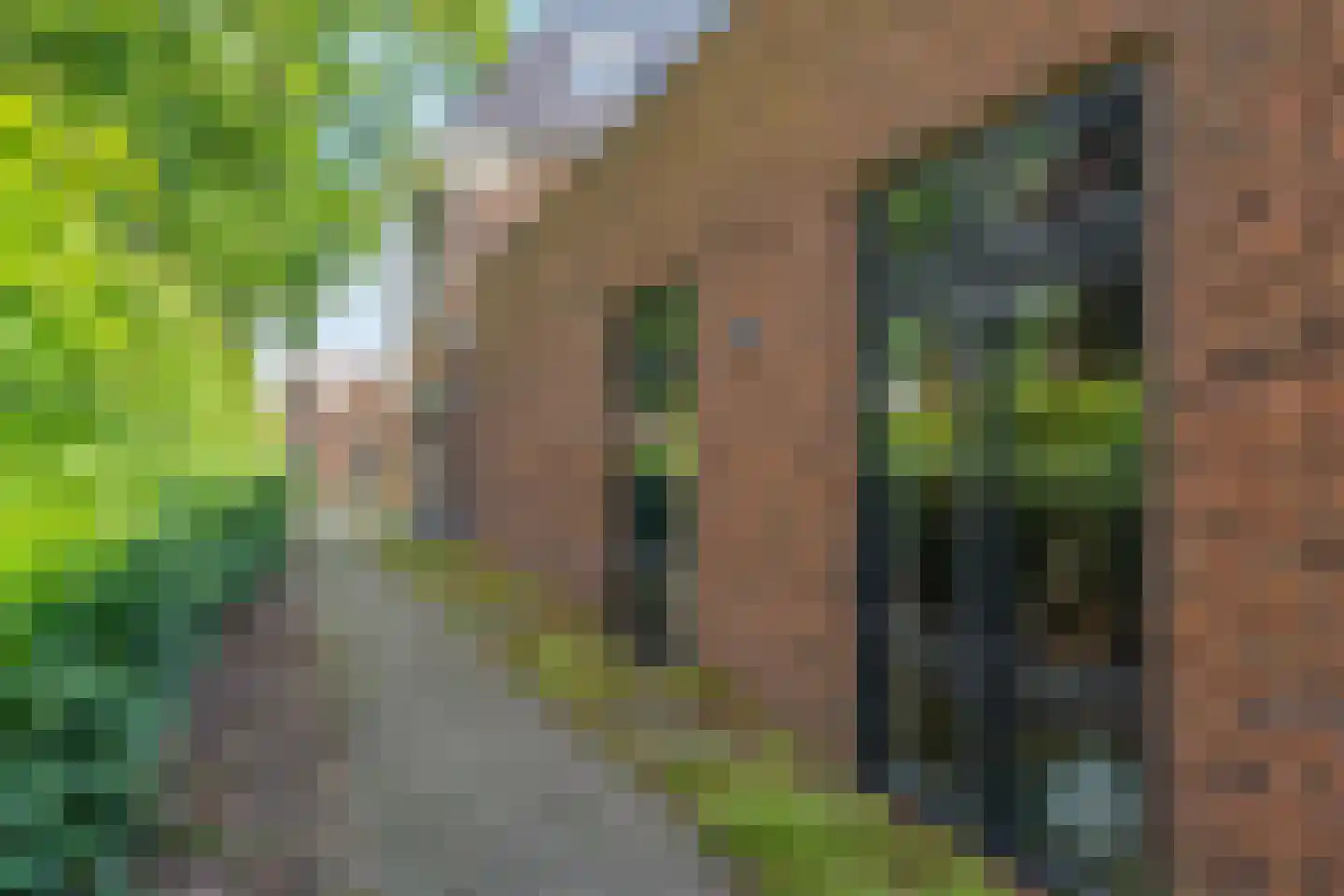 Zuiderweg 3 Tolbert thumbnail 14