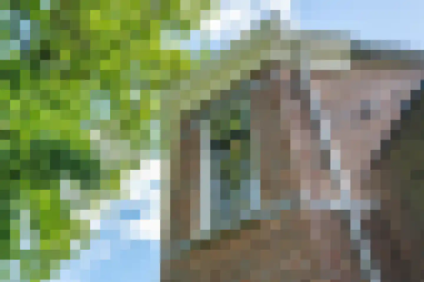 Zuiderweg 3 Tolbert thumbnail 15