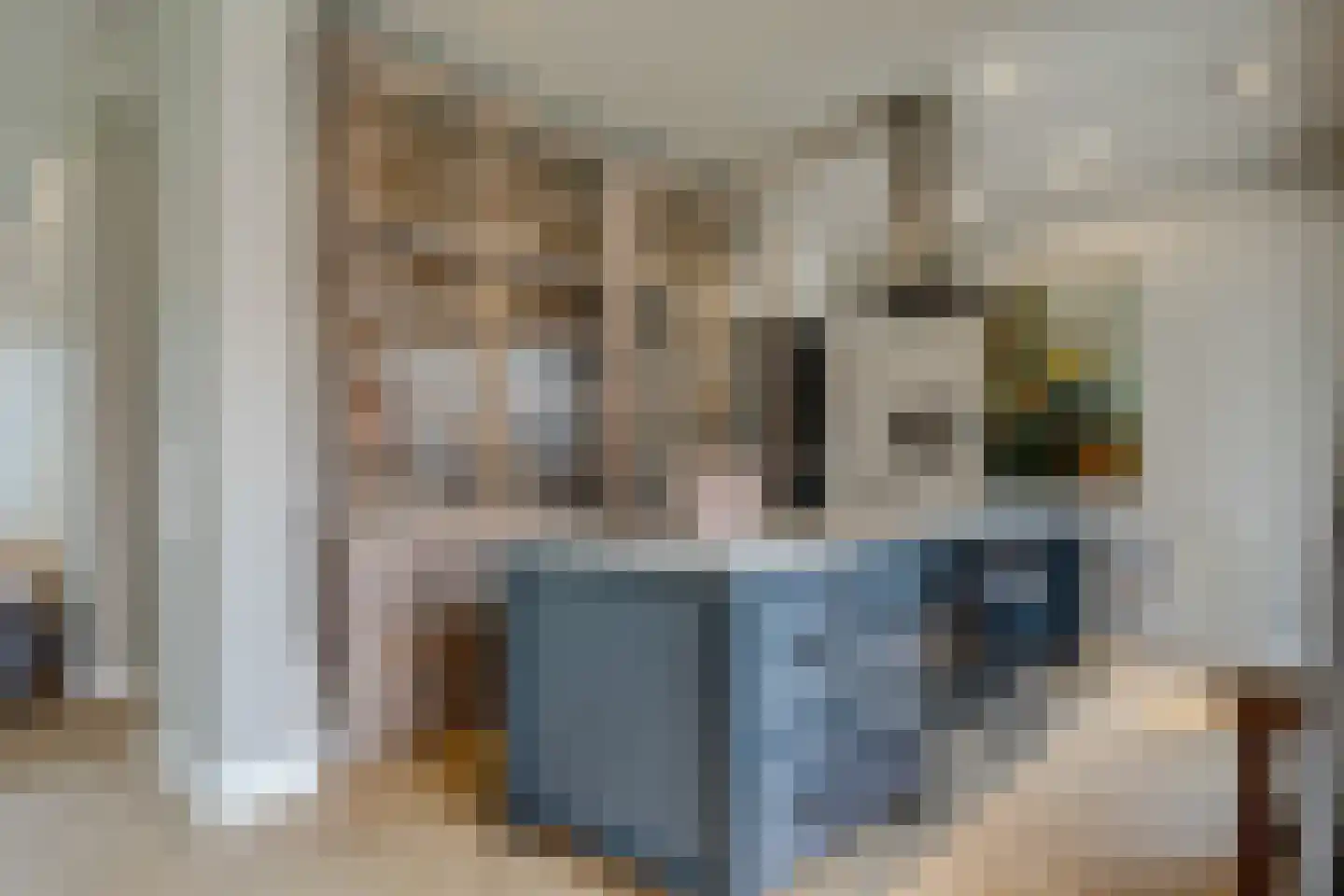 Zuiderweg 3 Tolbert thumbnail 25