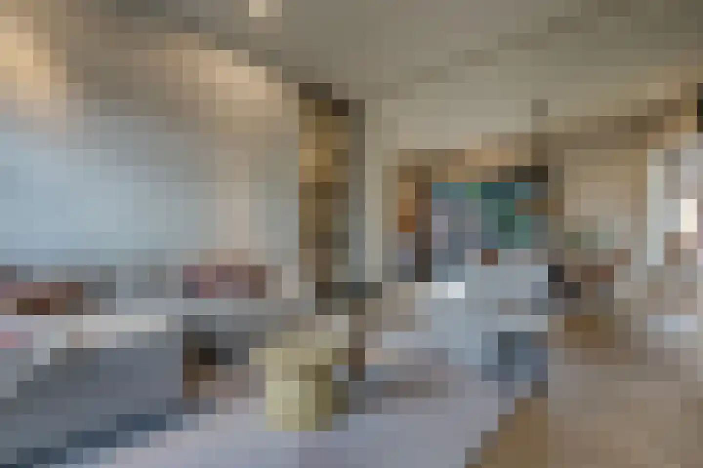 Zuiderweg 3 Tolbert thumbnail 30