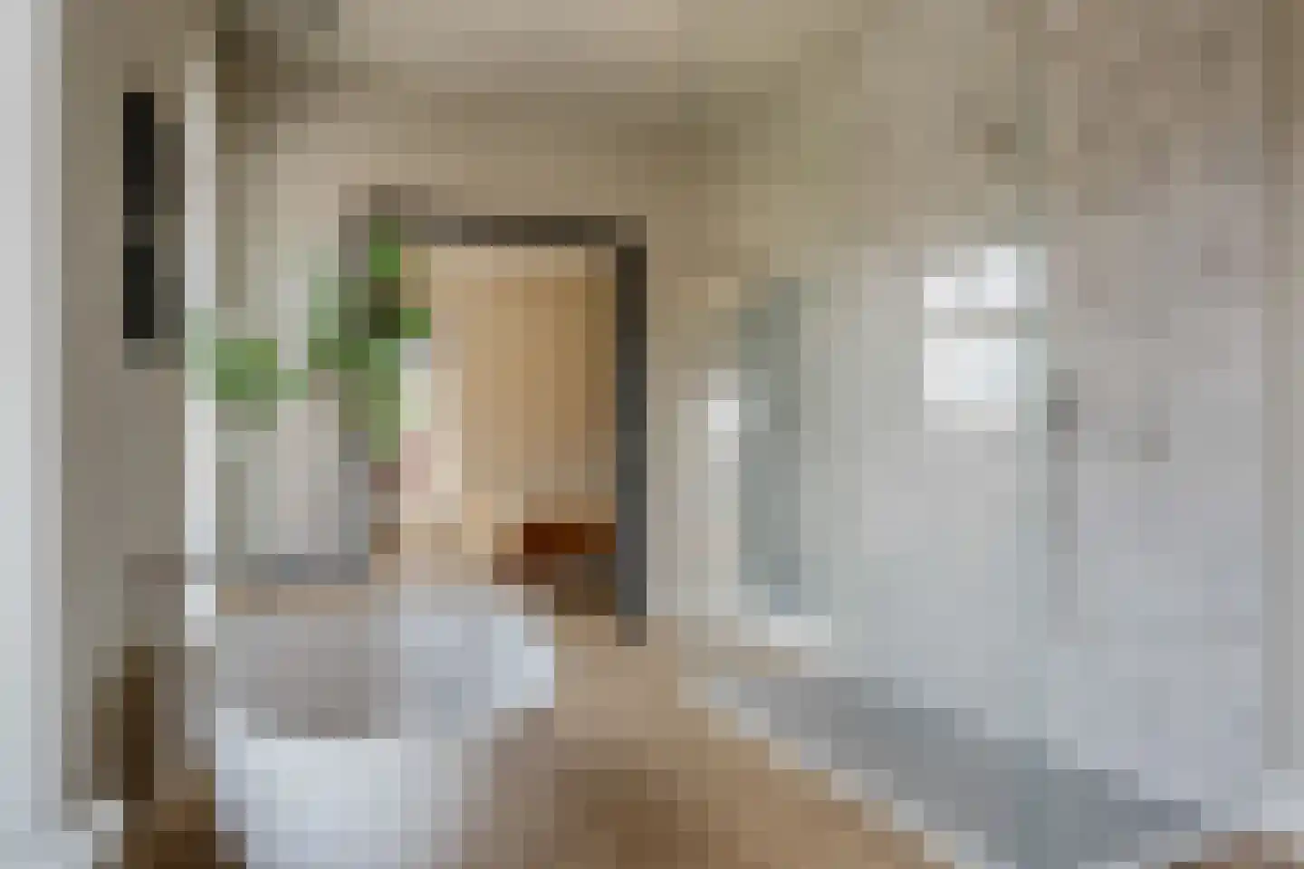 Zuiderweg 3 Tolbert thumbnail 32