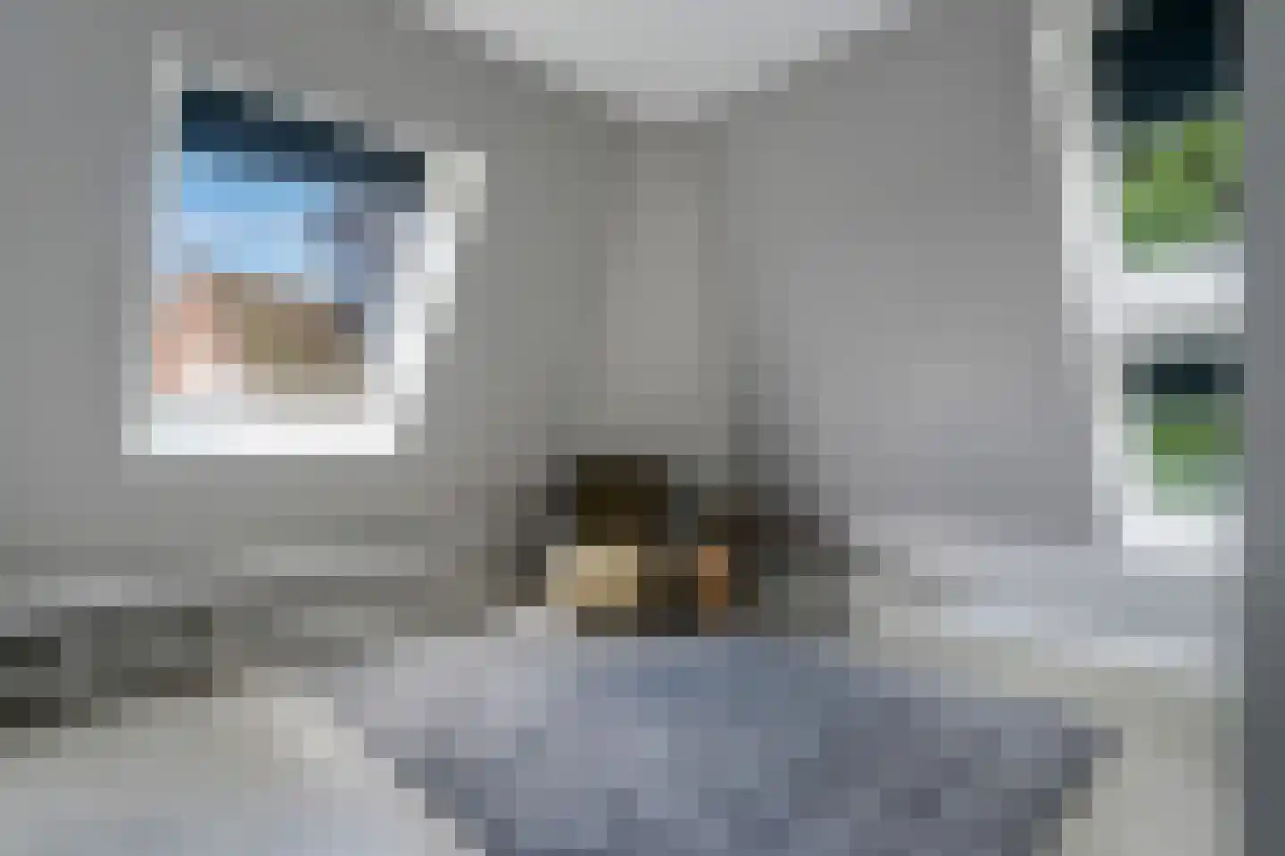Zuiderweg 3 Tolbert thumbnail 37