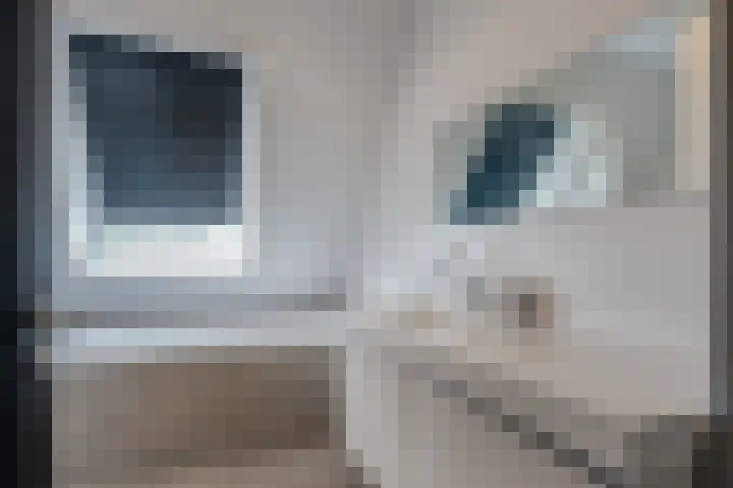 Zuiderweg 3 Tolbert thumbnail 39