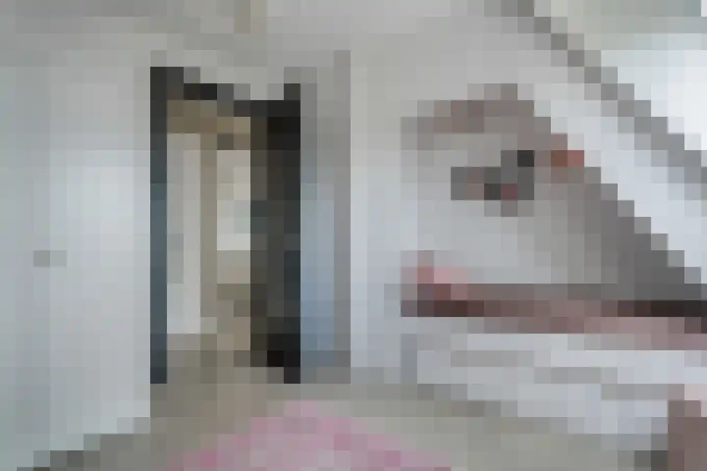 Zuiderweg 3 Tolbert thumbnail 40
