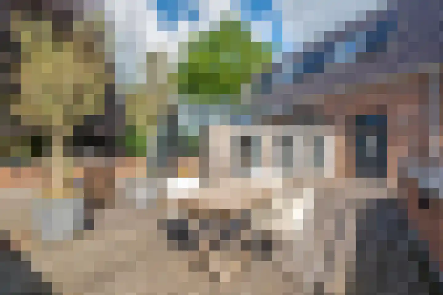 Zuiderweg 3 Tolbert thumbnail 48