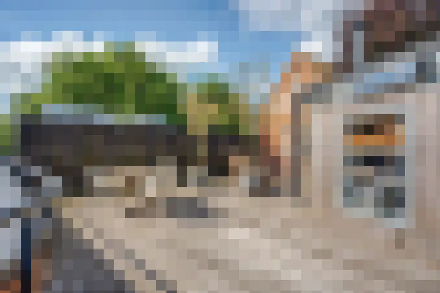 Zuiderweg 3 Tolbert thumbnail 50