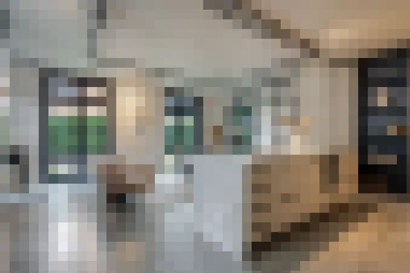 Zuiderweg 3 Tolbert thumbnail 52