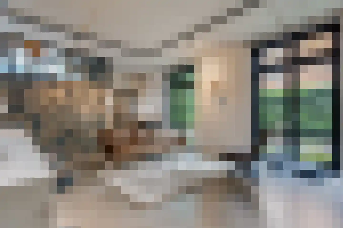 Zuiderweg 3 Tolbert thumbnail 55