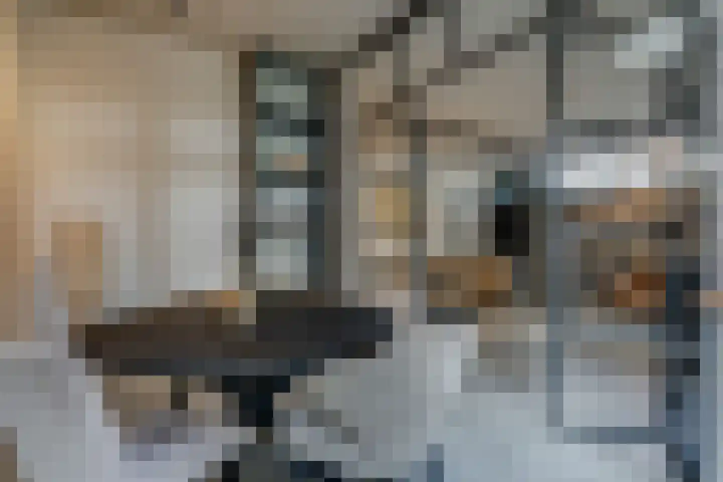Zuiderweg 3 Tolbert thumbnail 56